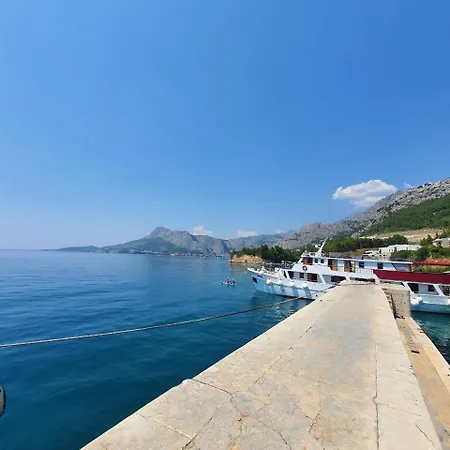 Zen Omis